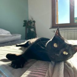 WhatsApp Image 2025-03-05 at 18.17.02